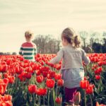 dzieci buszujące na polu tulipanów